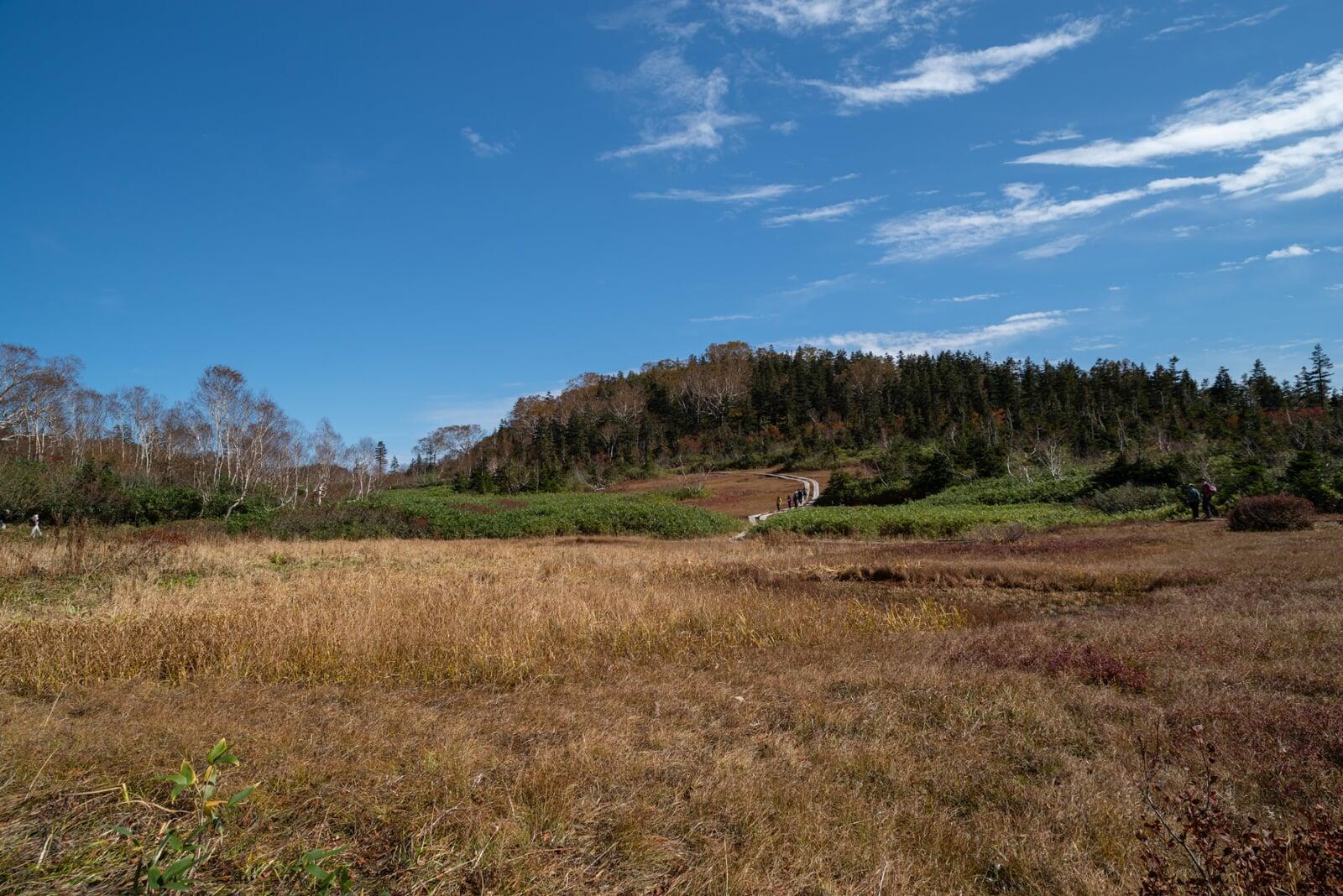 「負動産」を抱えた相続人に、専門家としてどう向き合うか